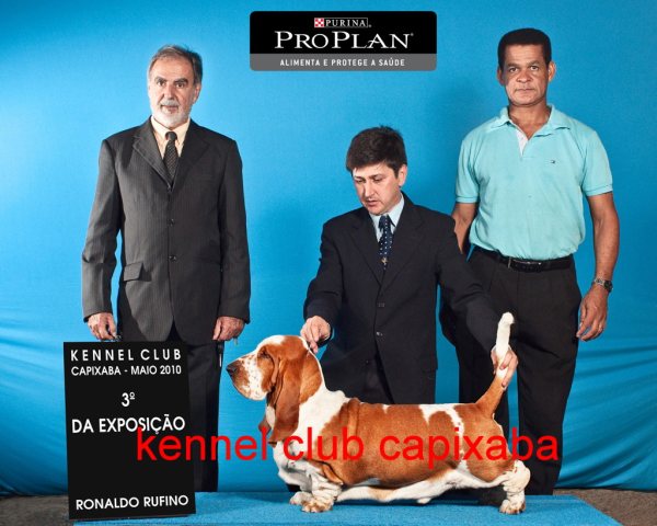 Clique sobre a foto para fechar